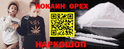 крисы Новодвинск