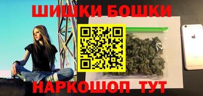 крисы Новодвинск