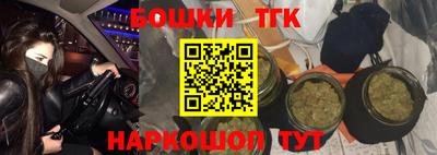 крисы Новодвинск