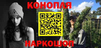 крисы Новодвинск